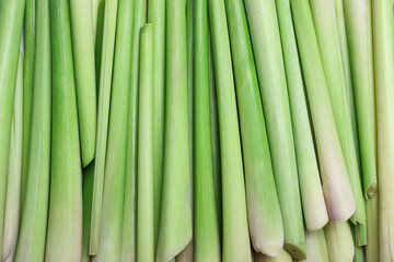 Fresh aromatic lemongrass as background, closeup view