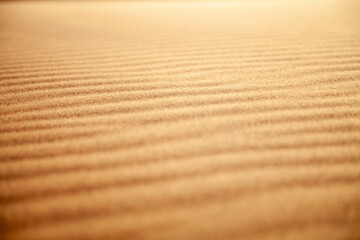 Arena del Desierto. Desert Sand.