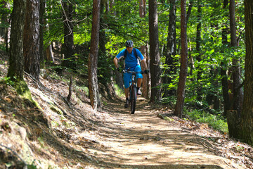 Mountainbiker beim Downhill im Wald