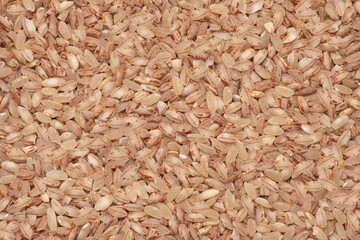 dry devzire rice close up. lightly milled rice with a pinkish tint. food background, texture