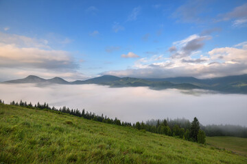 Naklejka na ściany i meble Foggy morning in the Carpathian mountains. Beautiful mountain valley is covered with fog. Ukraine, Europe.