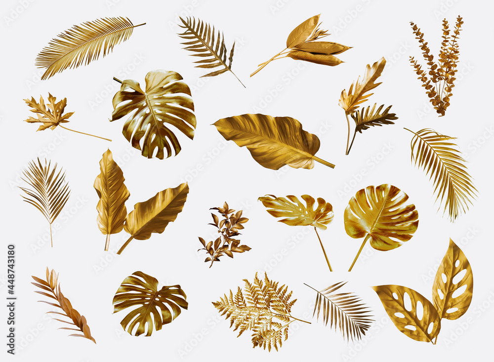 Wall mural Gold monstera leaves plant frame isolated on a white background. top view. copy space. abstract.