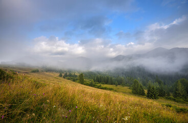 Foggy morning in the Carpathian mountains. Beautiful mountain valley is covered with fog. Ukraine, Europe.