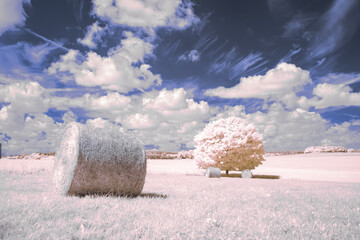 infrared photography - surreal ir photo of landscape with trees under cloudy sky - the art of our...