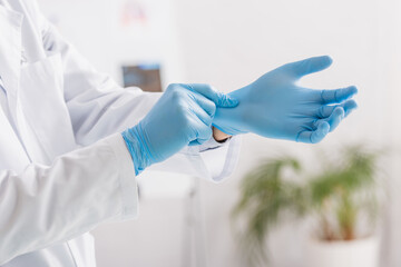 cropped view of doctor putting on blue latex gloves in hospital