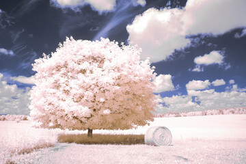 infrared photography - surreal ir photo of landscape with trees under cloudy sky - the art of our...