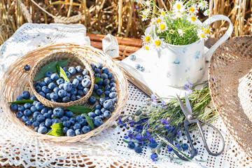 Picnic suitcase with crocheted tablecloth, blueberries  in braided plates, chamomile flowers in metal dish,  cut cornflowers with scissors,  picnic basket with berries  in grain background