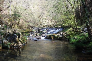 Curso de un río en la comarca de Betanzos, Galicia