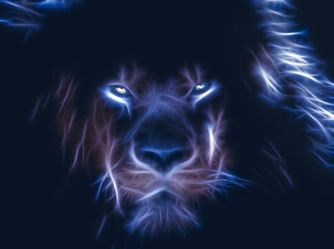 Download Lion Starry Sky Night RoyaltyFree Stock Illustration Image   Pixabay