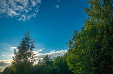 Bright blue sky with white clouds against the backdrop of green trees. Background with copy space.