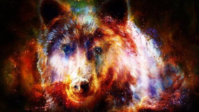 head of mighty brown bear in space, oil painting on canvas and graphic collage. Eye contact.