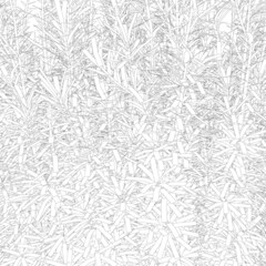 Background with many lines in the form of a plant from black lines, Isolated on a white background. Vector illustration