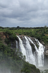Obraz premium A Portrait view of the Shimsha waterfall descending from the hills majestically during monsoon in Karnataka, India.