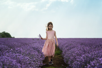Beautiful little girl with a pink dress enjoying between rows of blooming lavender field