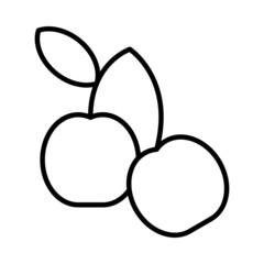Cherry Vector Line Icon Design