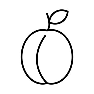 Pulm Vector Line Icon Design