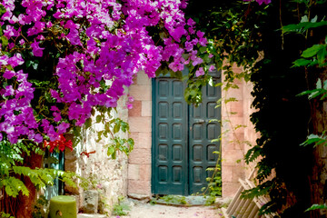 Old wooden black door of the stone building in shadow of tree of Bougainvillea spectabilis on bright sunny hot day, cozy backyard, inneryard