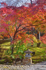 将軍塚青龍殿の紅葉