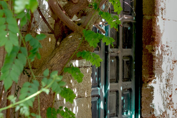 Old wooden black door of the stone building in shadow of tree on bright sunny hot day