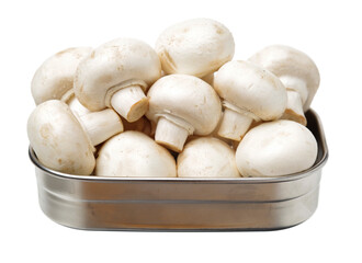 White mushrooms on white background
