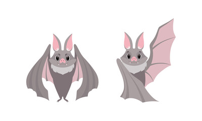 Obraz na płótnie Canvas Funny Gray Bat with Cute Snout as Flying Night Creature with Spread Wings Vector Set