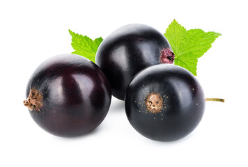 Juicy black currant