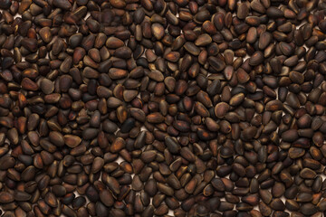 cedar nuts