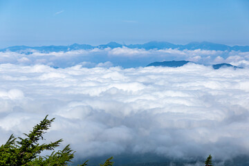 富士山奥庭からの雲海６