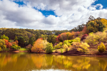 Mount Lofty park in autumn colours on a day in Adelaide Hills, South Australia