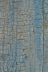 cracked old blue paint on the wooden door planks