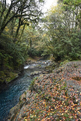 夏の静かな渓谷