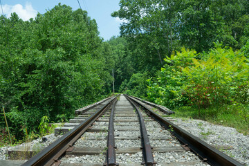 railway in the forest