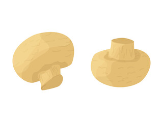 champignons isolated on white background. edible mushrooms. mushroom farm. White button. Closed cup. Open cup mushrooms. Portobello. vector flat.
