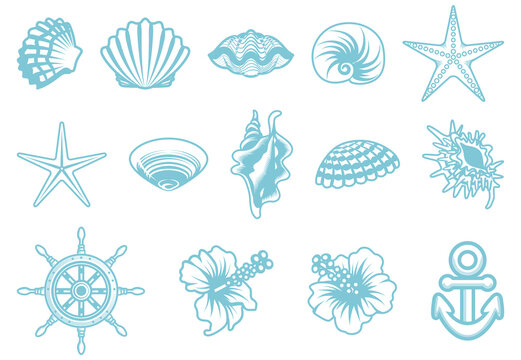 Seashell and ship products, hibiscus icon set - line art style