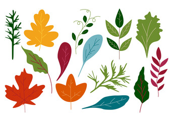 Vector clipart of different autumn twigs and leaves. Hand-drawn in a cartoon style