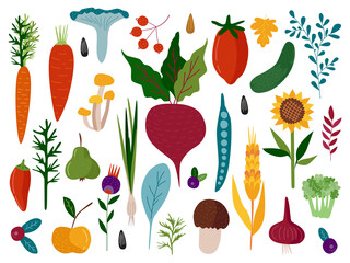 Vector set of different vegetables, fruits, mushrooms and berries. Twigs and leaves. Hand-drawn in a cartoon style