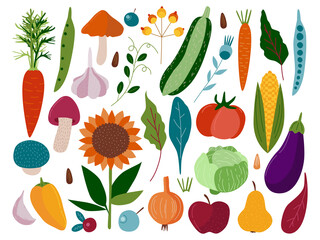 Vector clipart of different vegetables and fruits, hand-drawn in a cartoon style. Mushrooms, berries, vegetables, fruits. Twigs and leaves