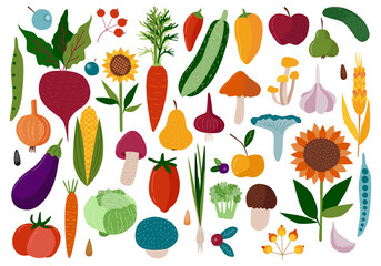 A large collection of different vegetables. Vector clipart. Hand-drawn in cartoon style. Color illustration