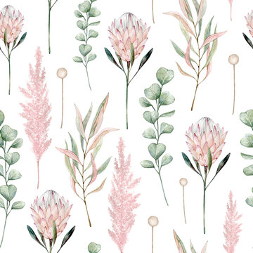 Watercolor seamless pattern with protea, eucalyptus, pampas grass.Isolated on white background. Hand drawn clipart. Perfect for card, postcard, tags, invitation, printing, wrapping, fabric. 