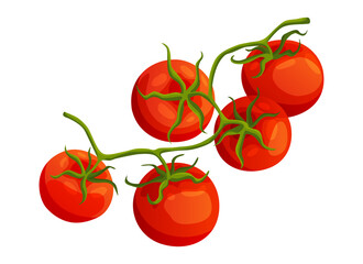 Chery tomato. Fresh healthy red tomato made in flat style. Vegetarian food. Vegetable from the farm. Organic food.  illustration of tomato