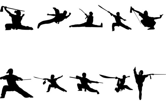 Wushu warrior silhouette vector
