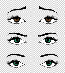 Collection of  eyes. Hand drawn female luxury eye with perfectly shaped eyebrows and full eyelashes. The perfect look on transparent background. Health glamour design