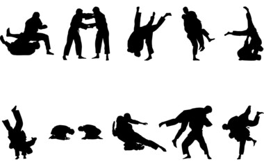 Brazilian jiu-jitsu silhouette vector