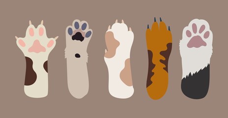 Cute paws of cats of different colors. Illustration. in flat style.