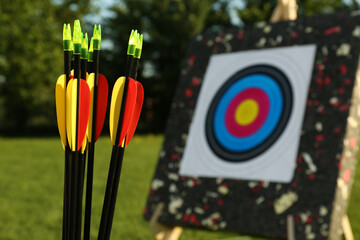 Many arrows against near target in park, closeup. Space for text
