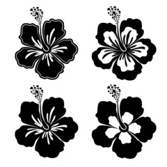 Set of black-white hibiscus flowers. Flat design elements. Vector illustration © VETOCHKA