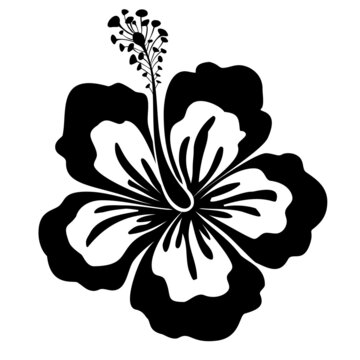 Black-white hibiscus flower. Flat design element. Vector illustration
