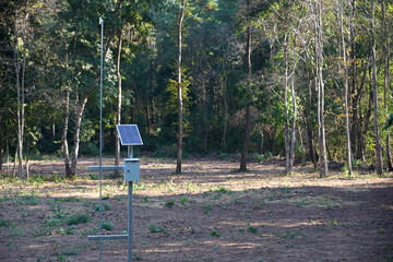 Solar panels in the forest for generating electricity for the safety of wildlife