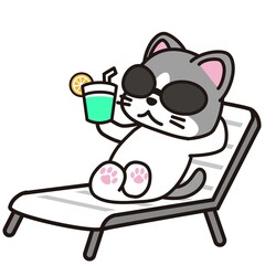 日光浴しているサングラスをかけた猫