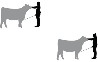 Cattle Show  Vector Silhouette